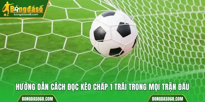 Cách đọc kèo chấp 1 trái trong mọi trận đấu