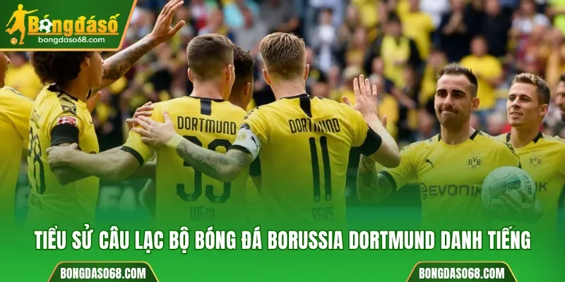 Câu lạc bộ bóng đá Borussia Dortmund