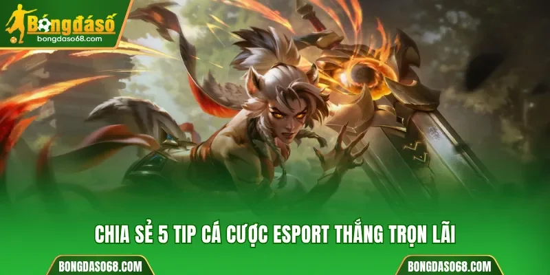 Chia sẻ 5 tip cá cược Esport thắng trọn lãi