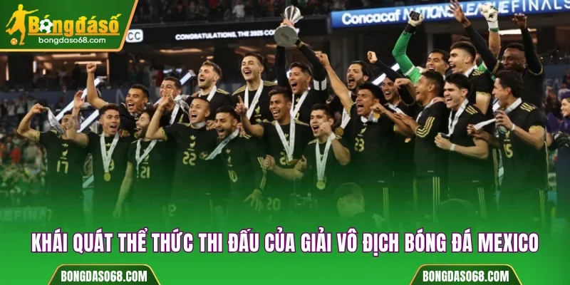 Khái quát thể thức thi đấu của giải vô địch bóng đá Mexico